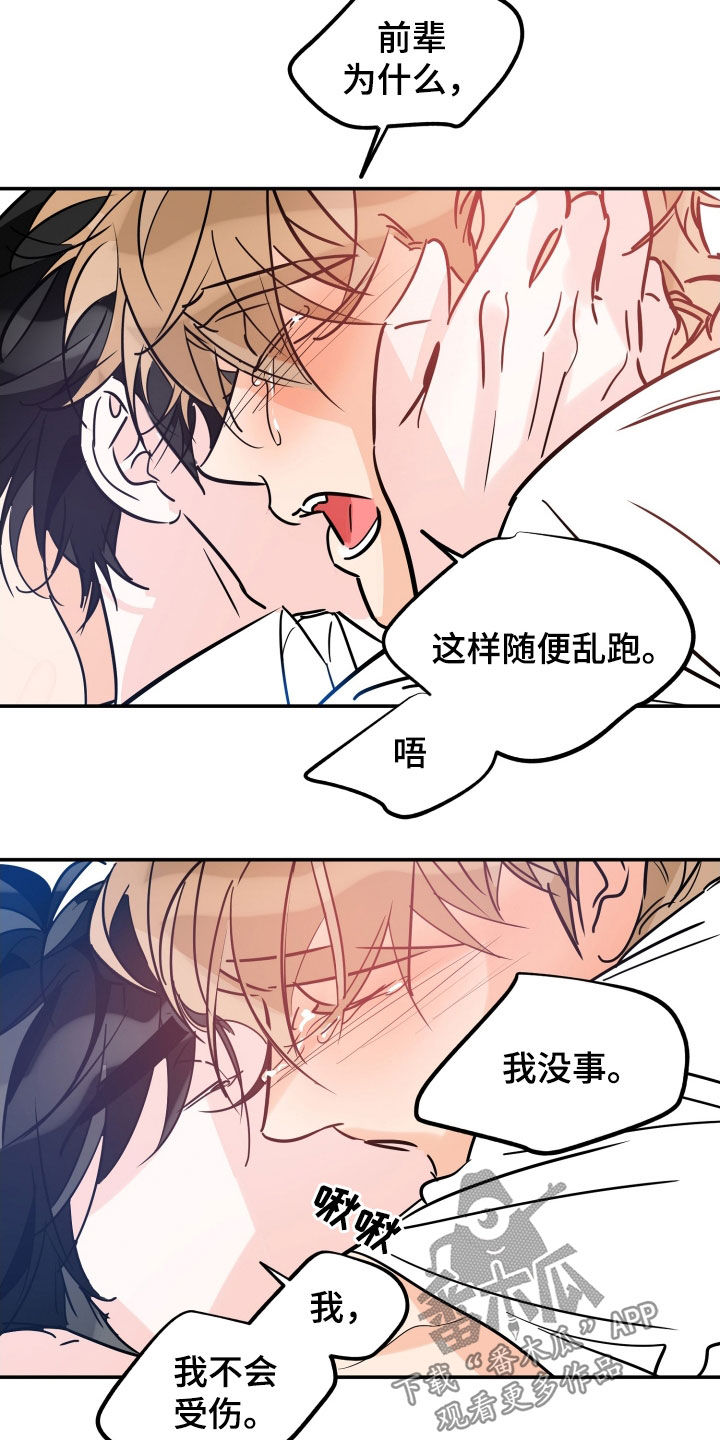 第185章：【番外】最好的告白21