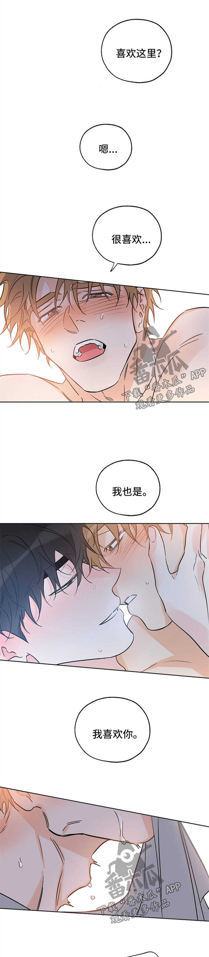 第39章：遐想5
