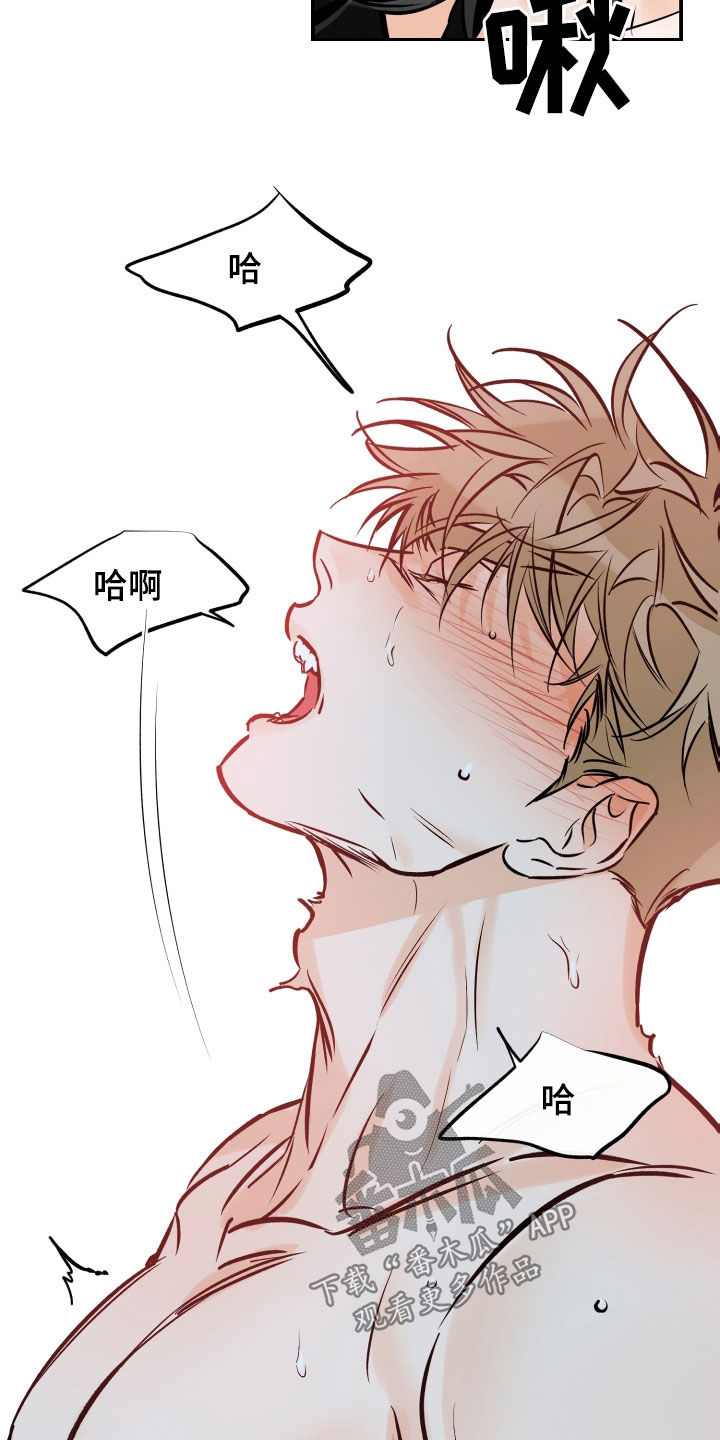 第170章：我来负责9