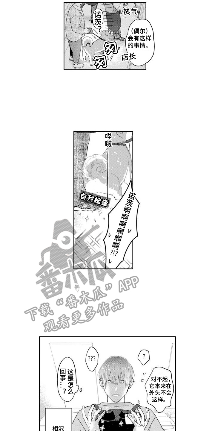 第23章：人气鼎盛期11