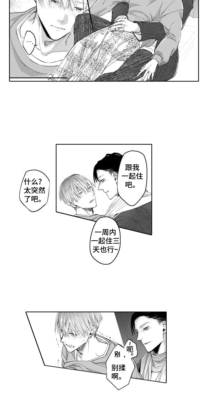 第12章：令人安定 10
