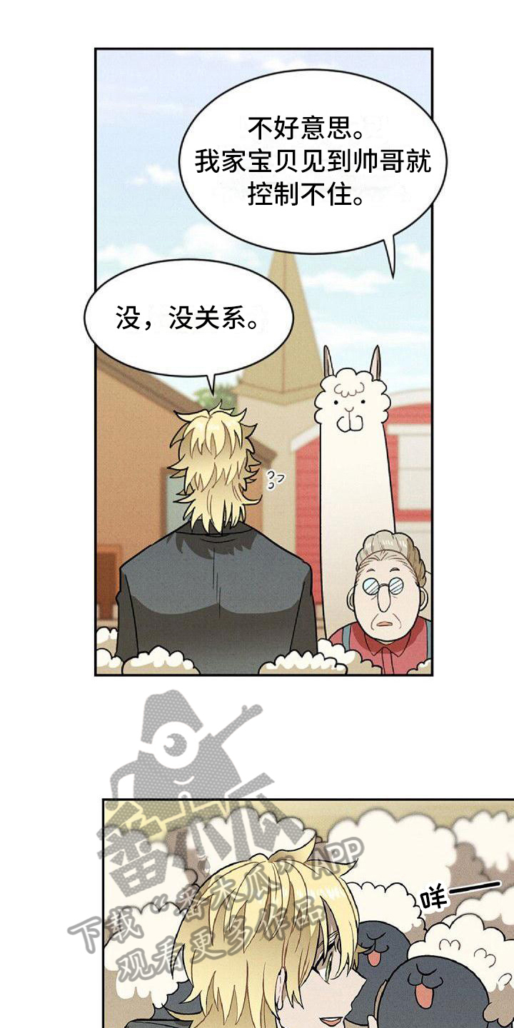第14章：商谈4