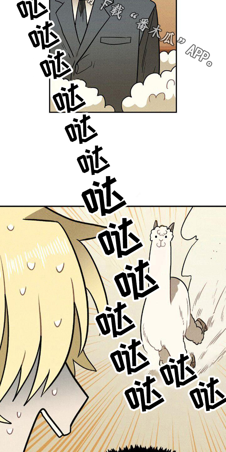 第13章：出差15