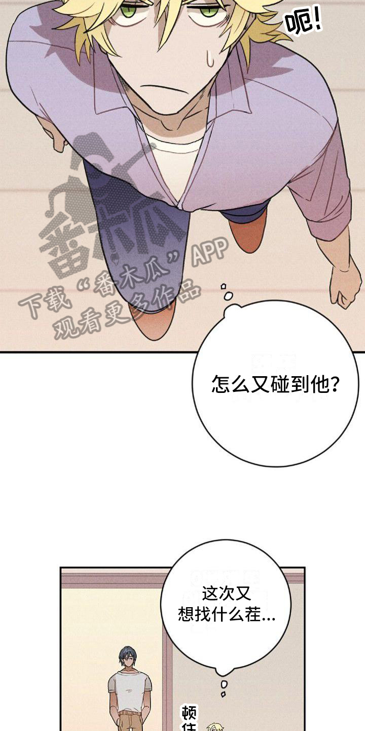 第6章：和解13
