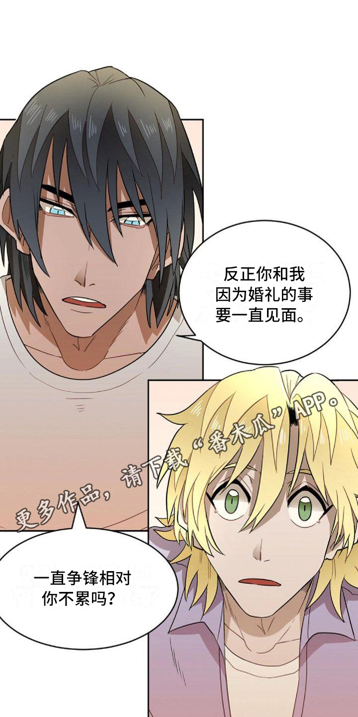 第6章：和解19