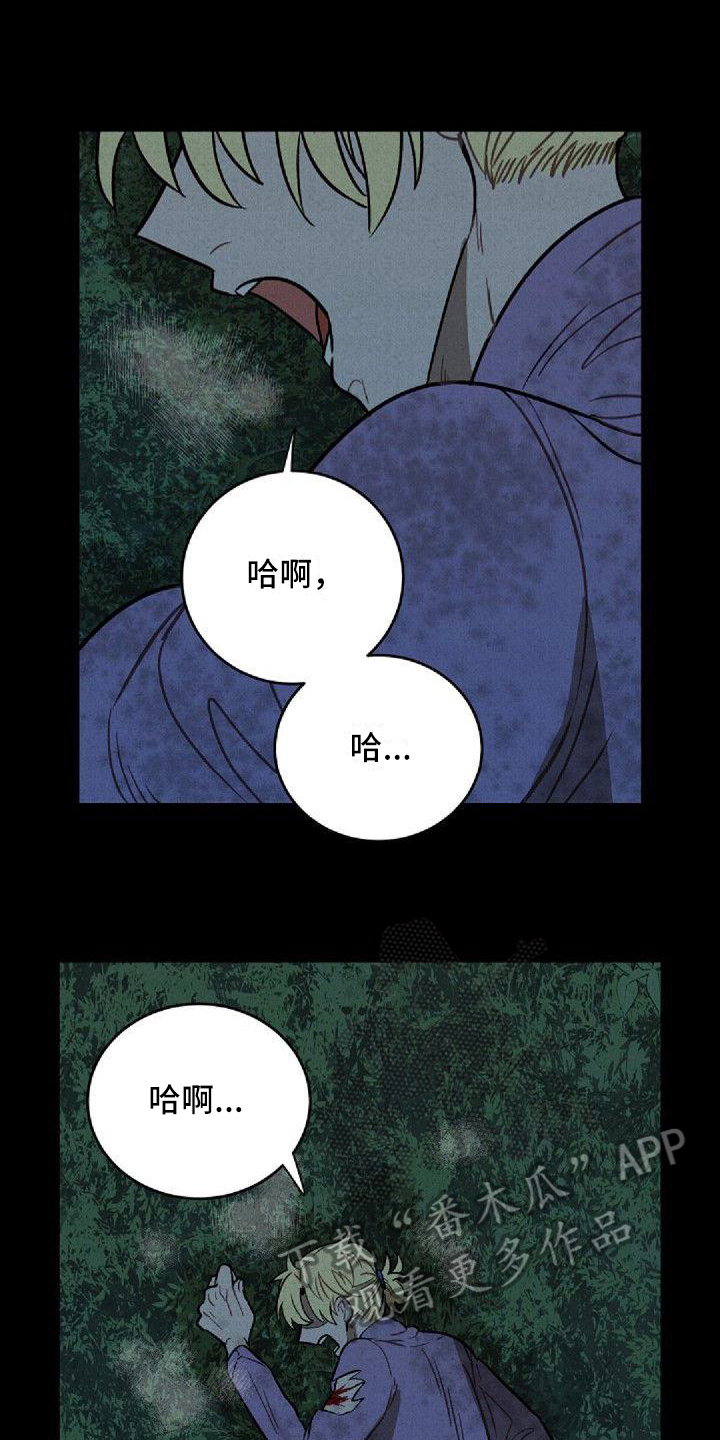 第21章：车祸10