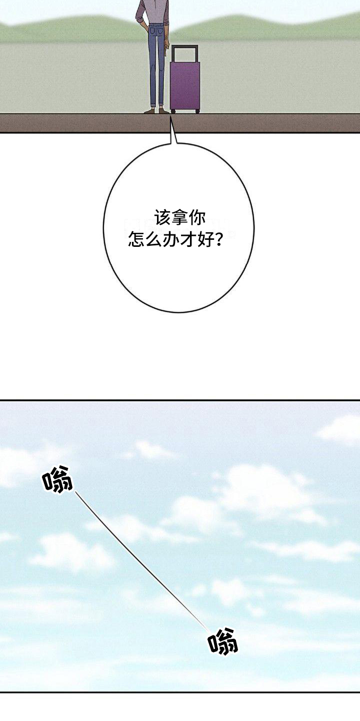 第1章：工作安排6
