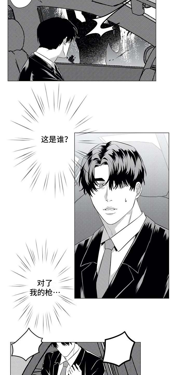 第24章：寻找12
