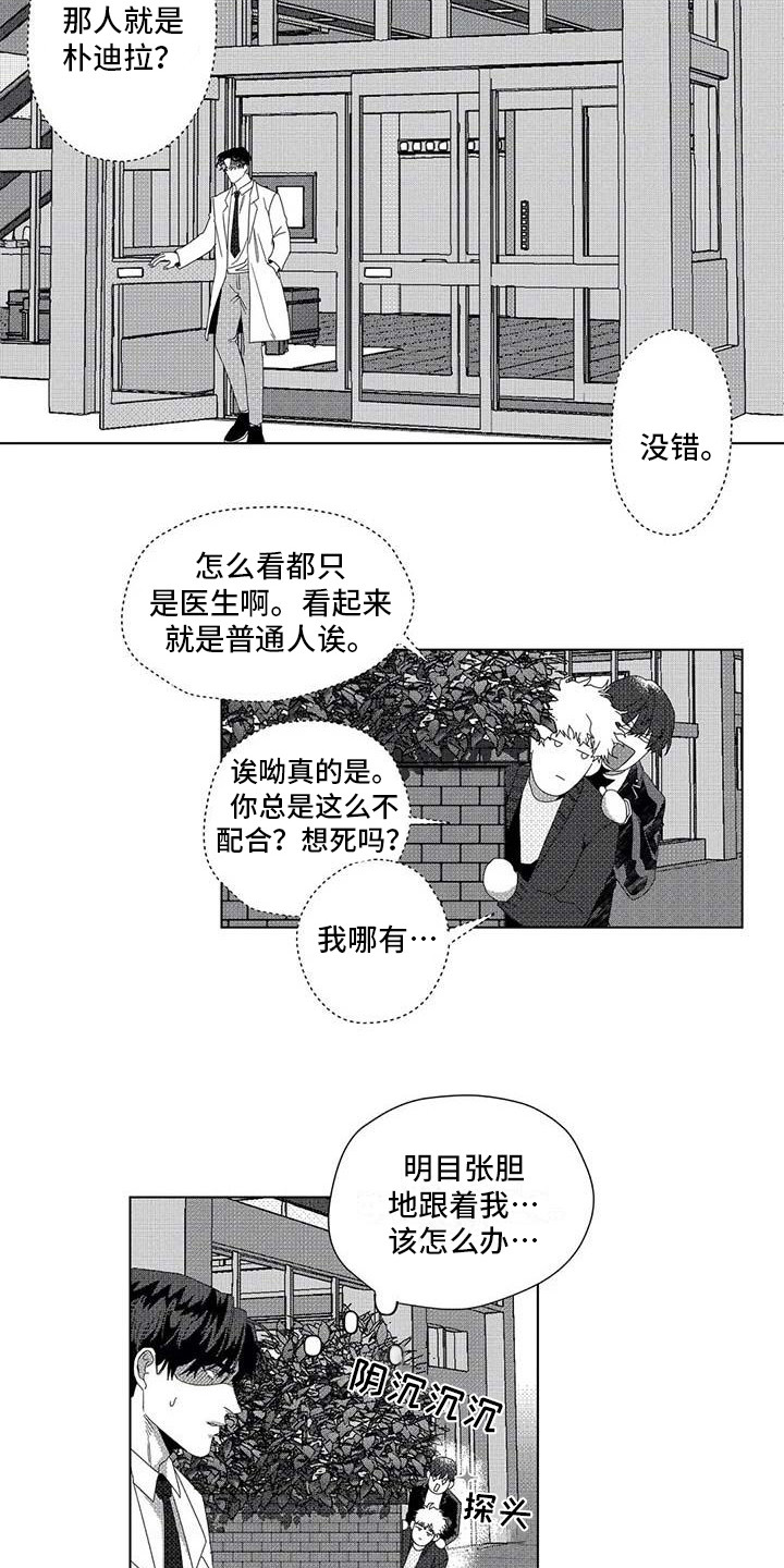 第13章：跟踪3