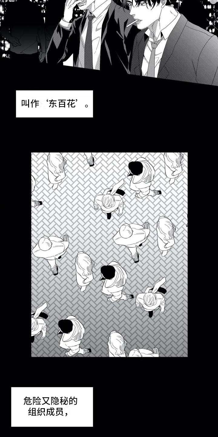 第2章：隐秘集团5