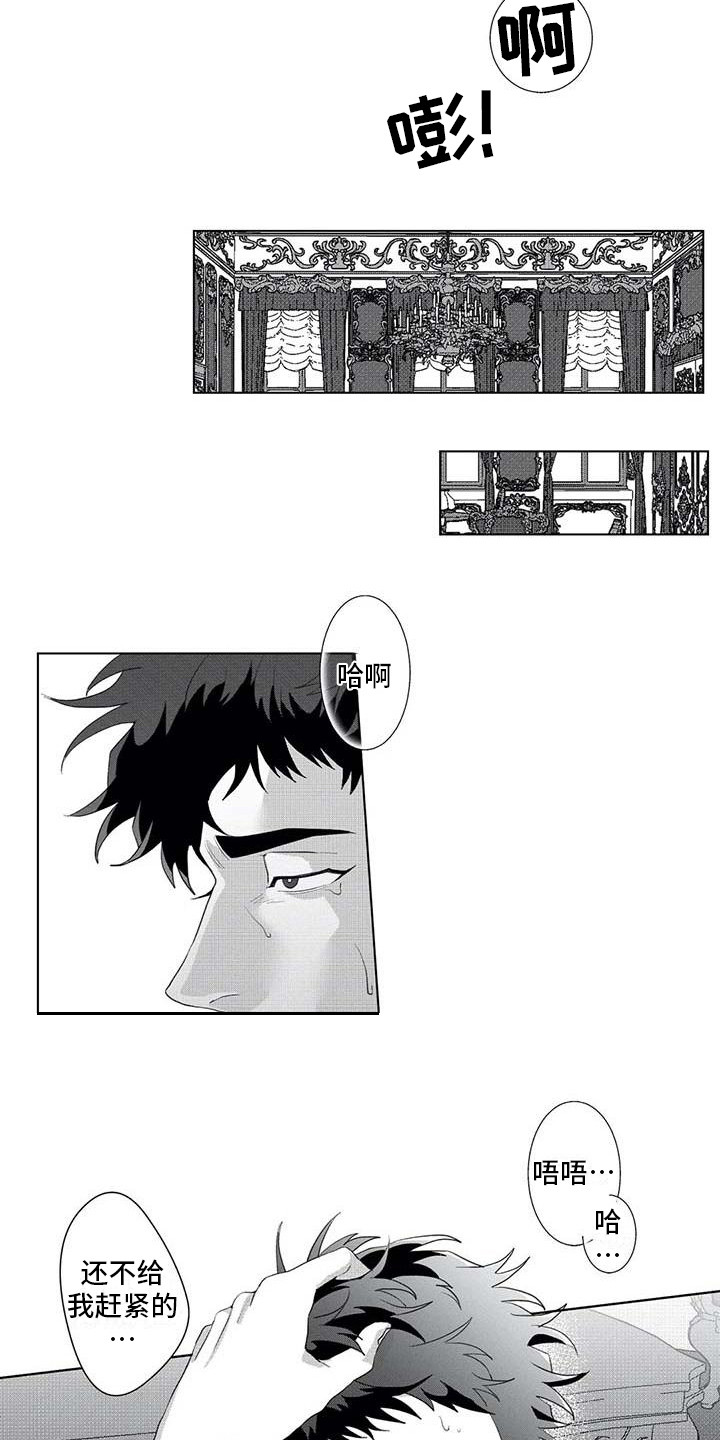第17章：得寸进尺11