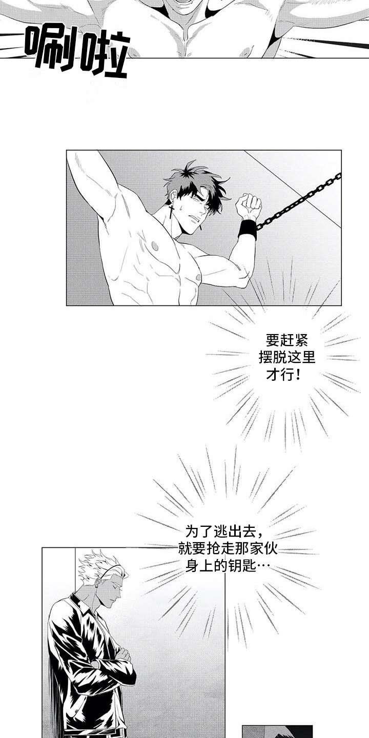 第21章：消失了12