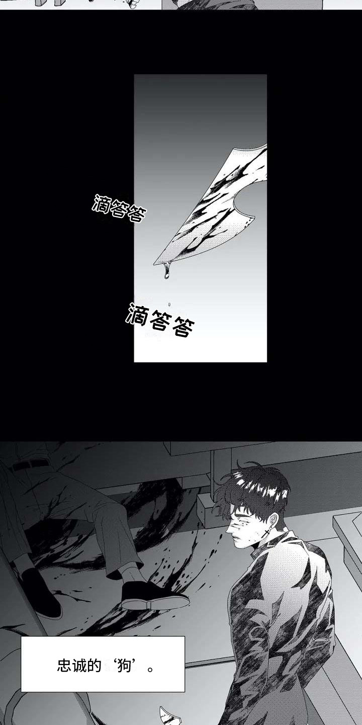第1章：忠诚的狗8