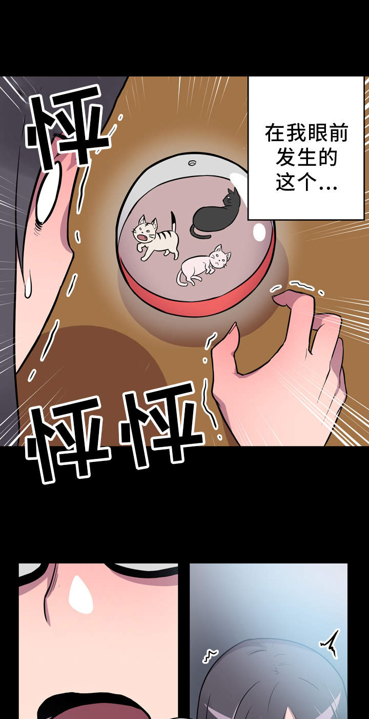 第5章：展示能力0