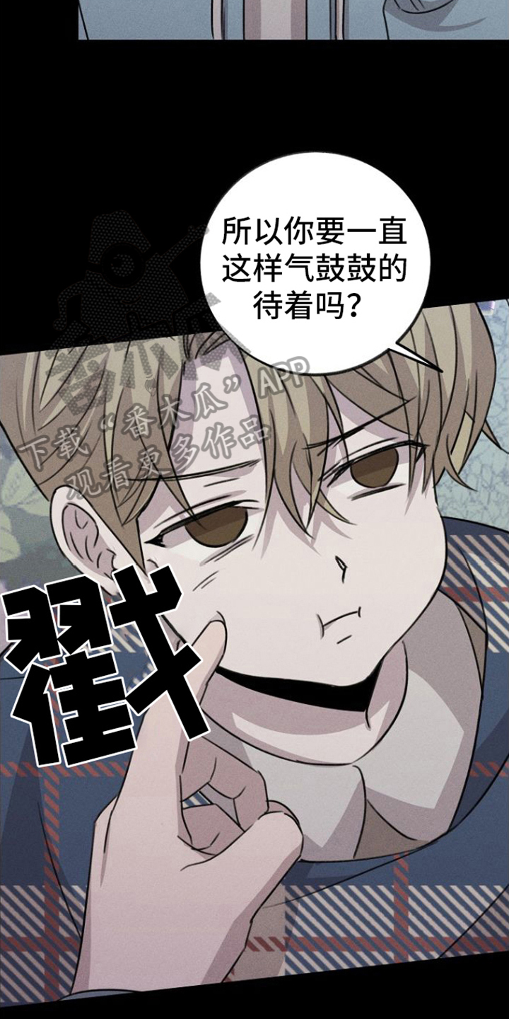 第11章：心灵港湾13