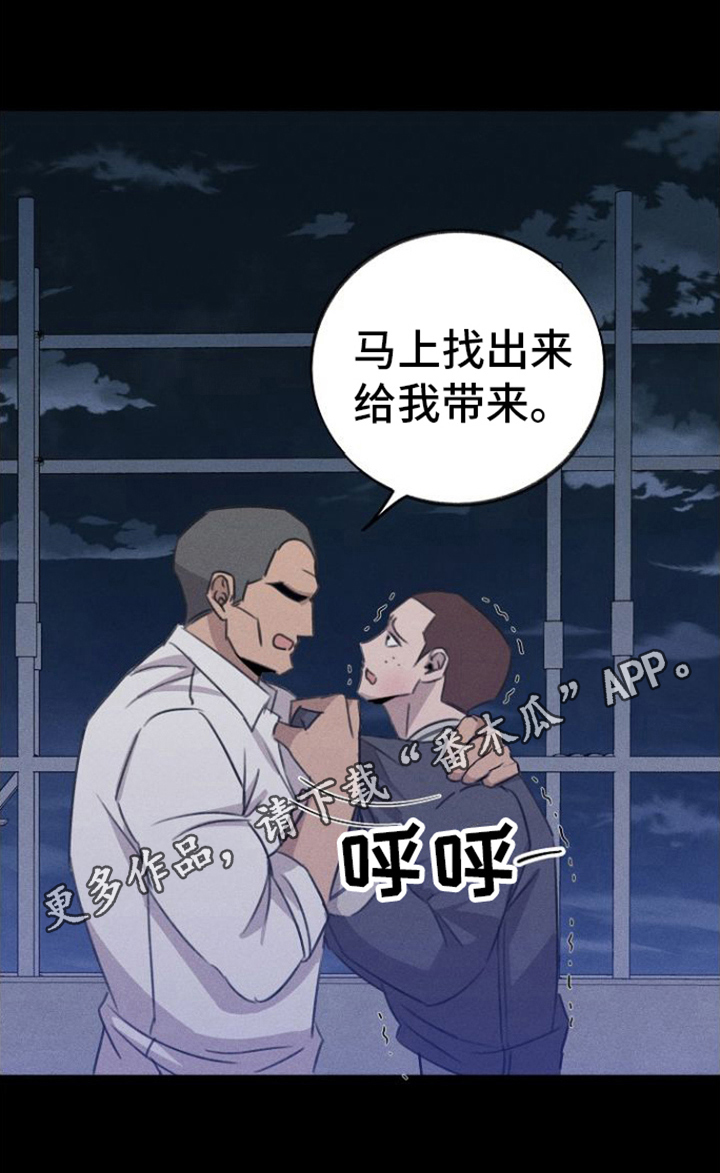 第13章：计划19