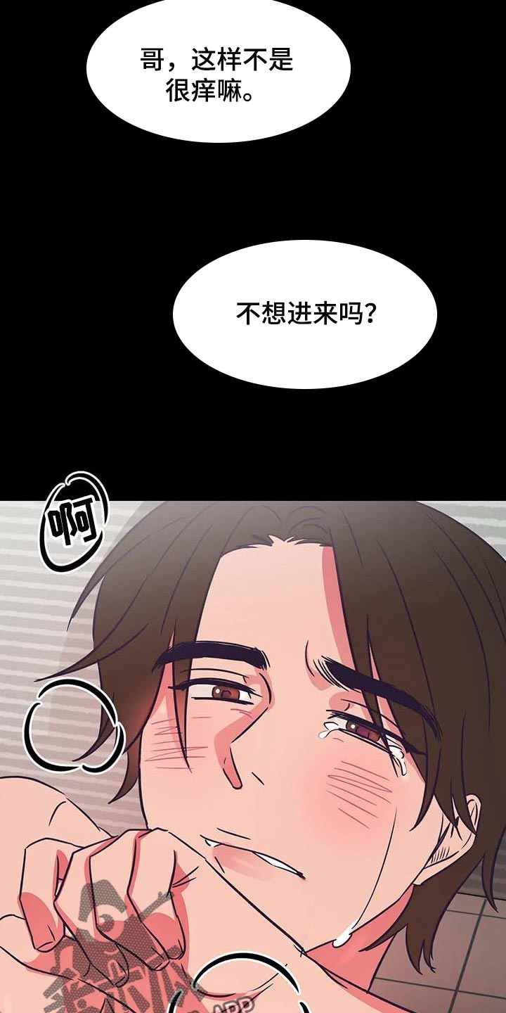 第31章：好想法16