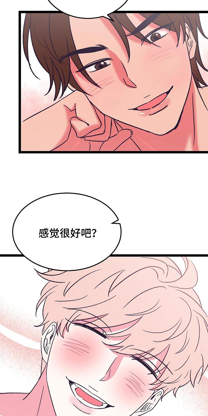 第59章：黑猫13
