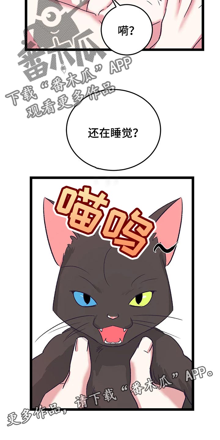 第59章：黑猫19