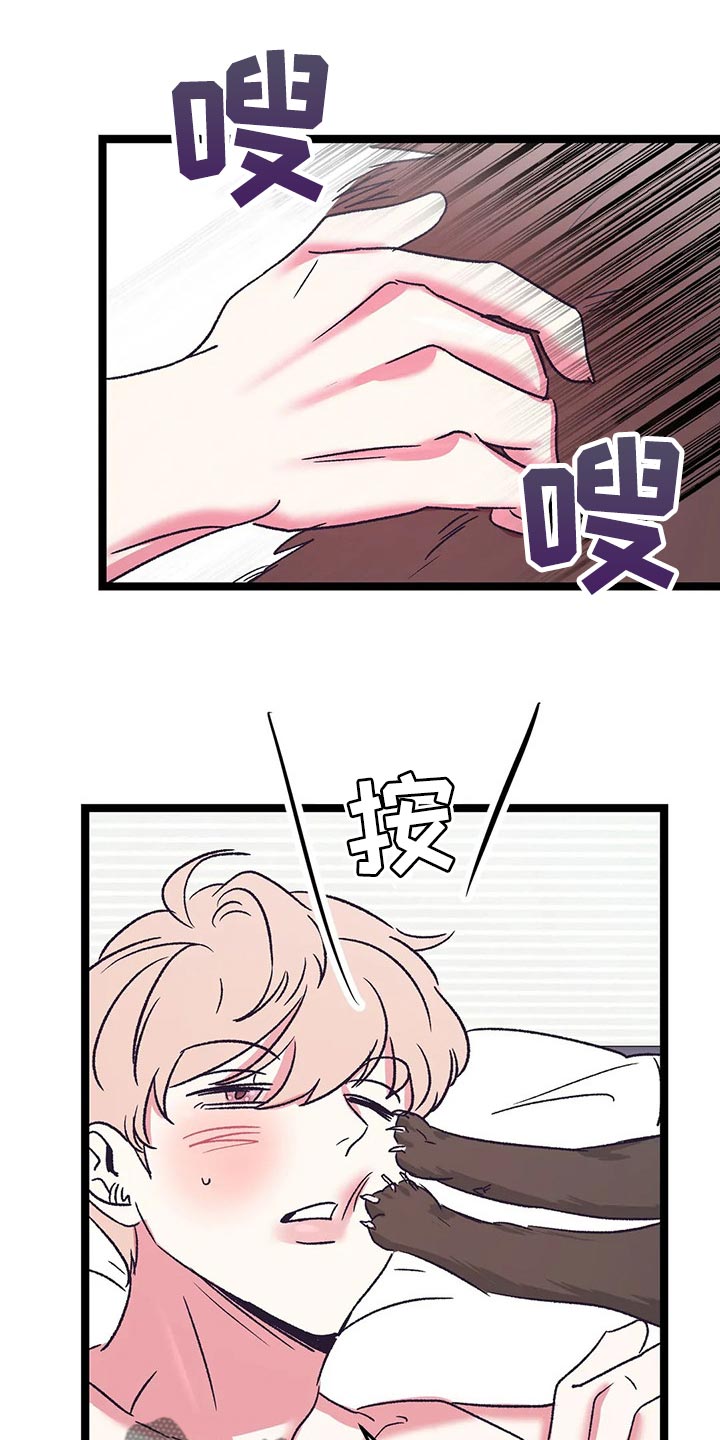 第59章：黑猫18