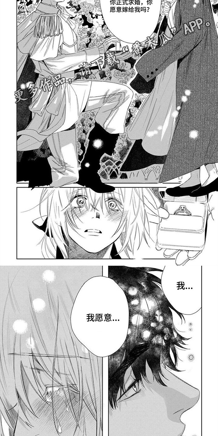 第28章：求婚4