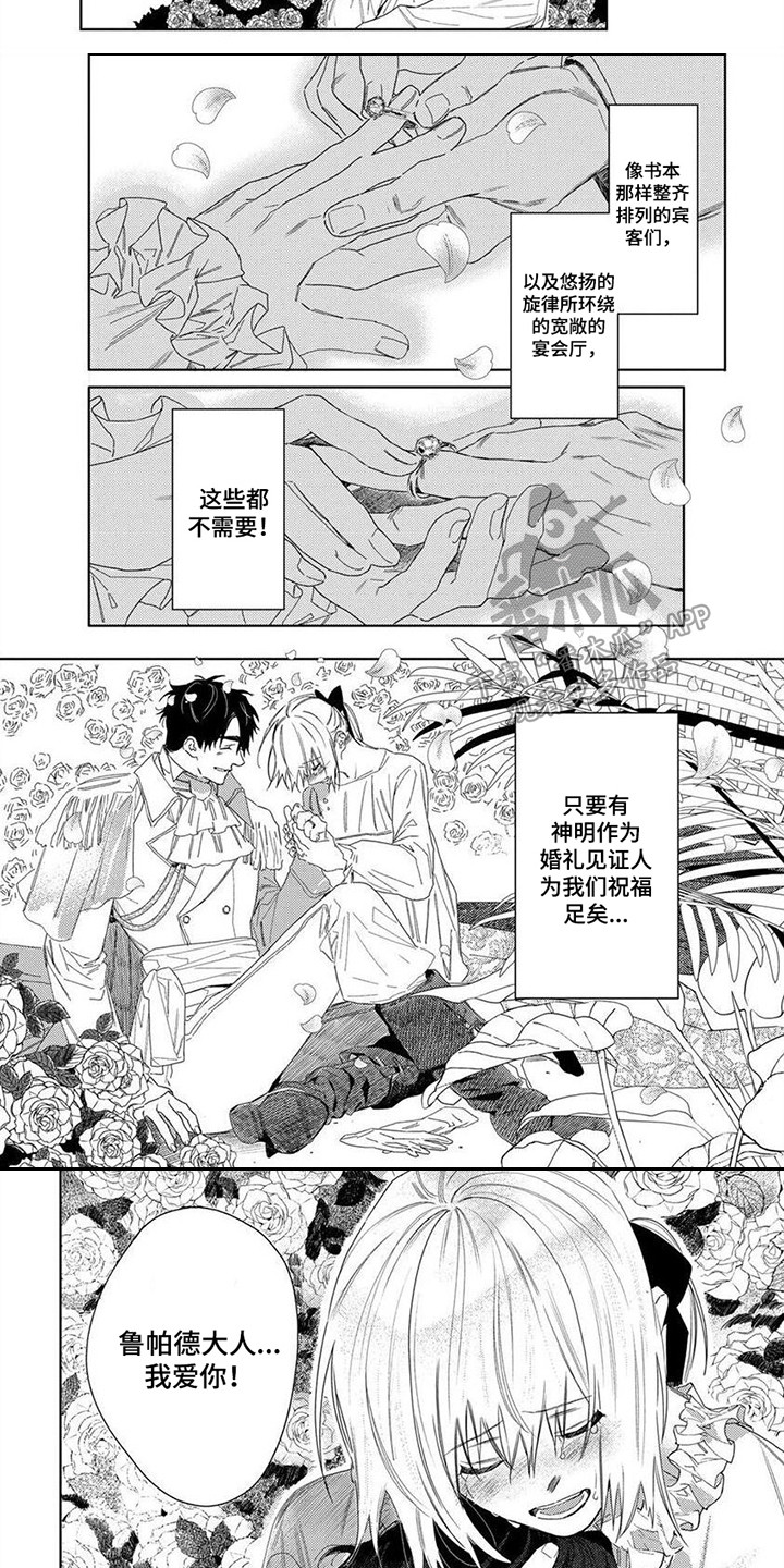 第28章：求婚6