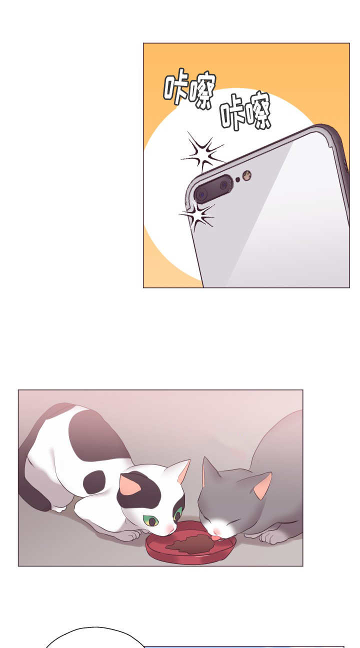 第17章：太善良了4