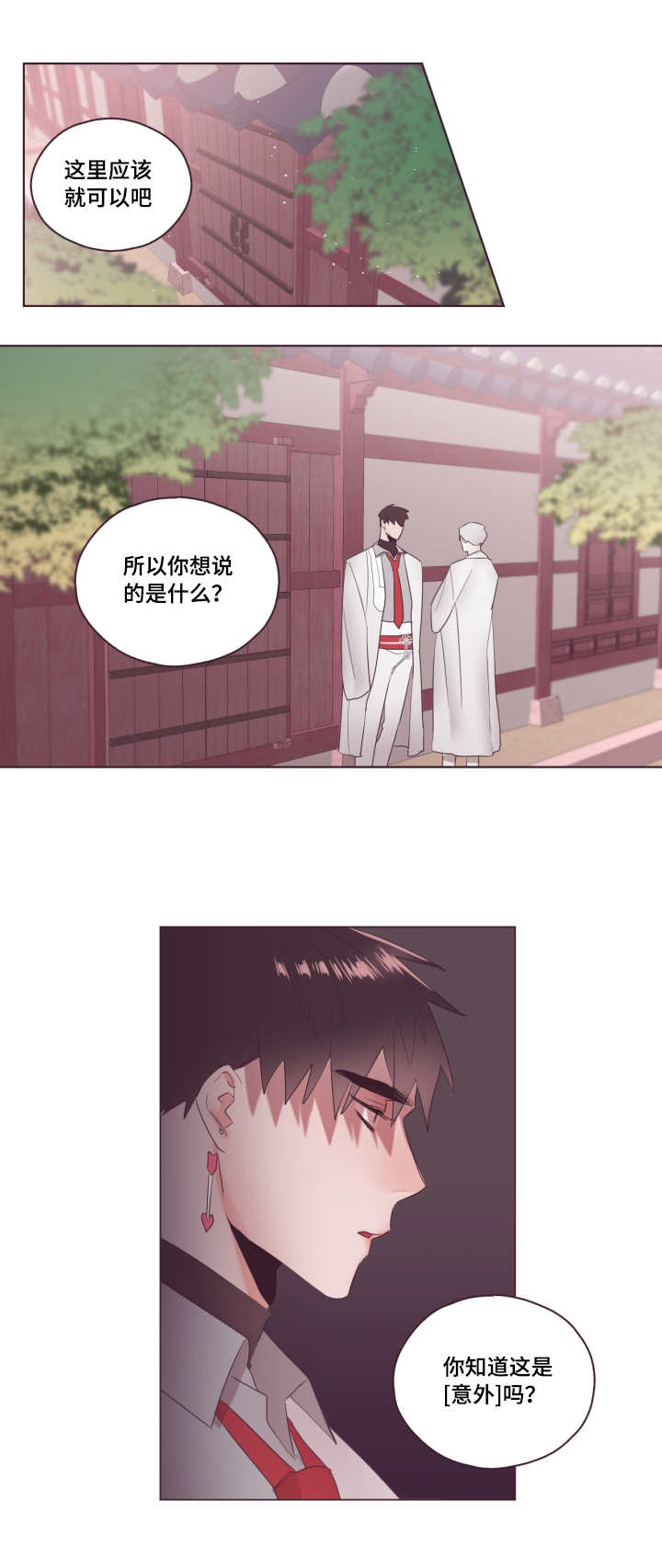 第10章：我的猜想0