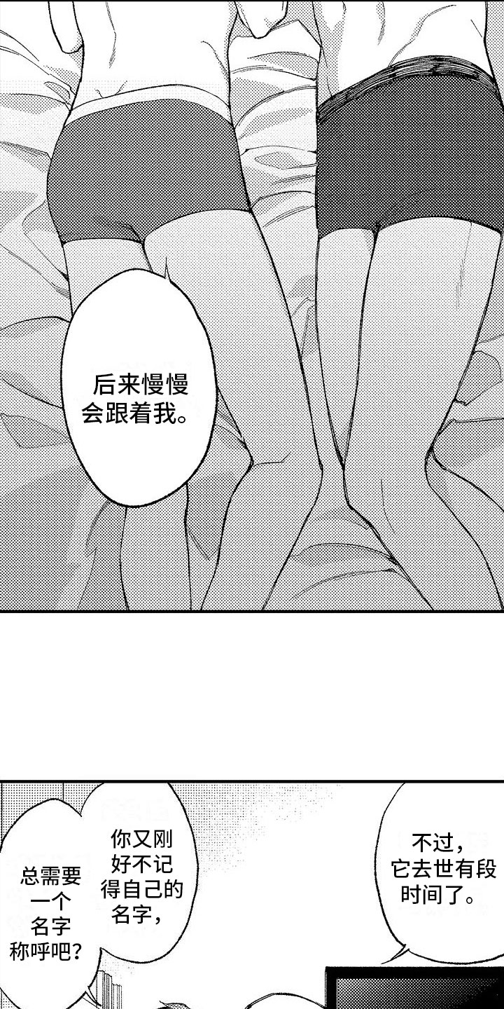 第14章：好名字11