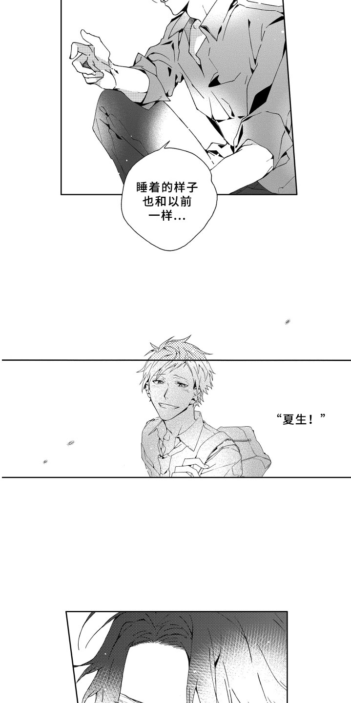 第5章：灌溉12