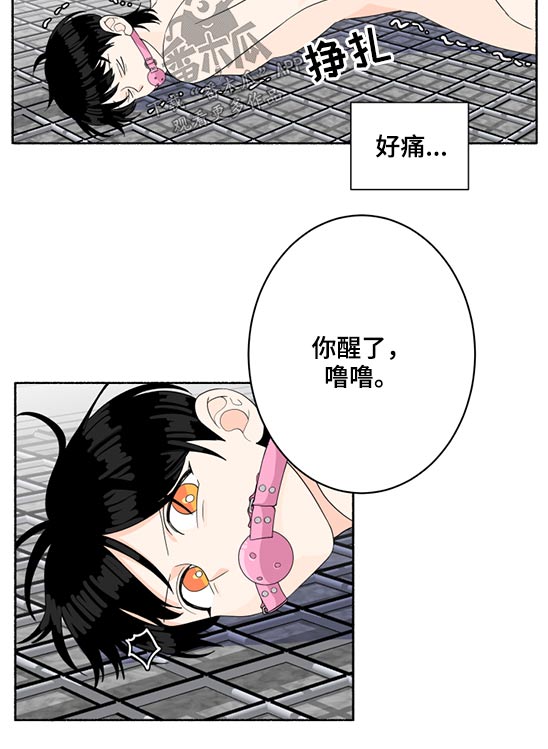 第52章：晕倒10
