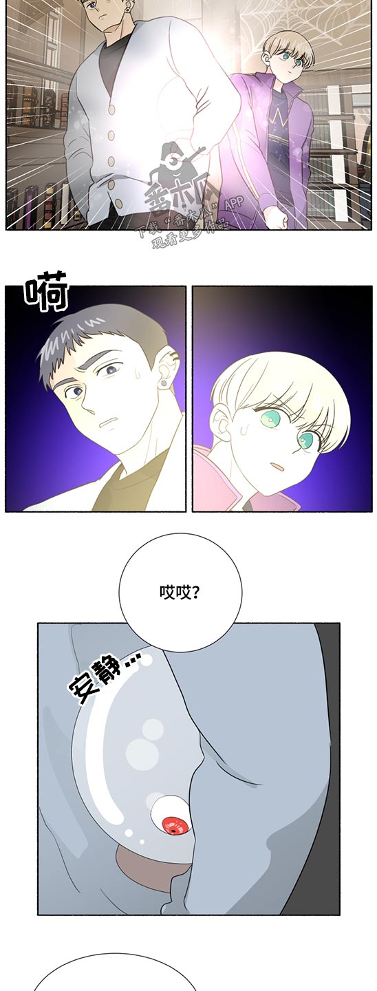 第61章：水晶球10