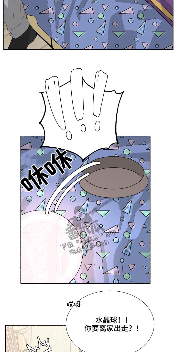 第64章：福星3