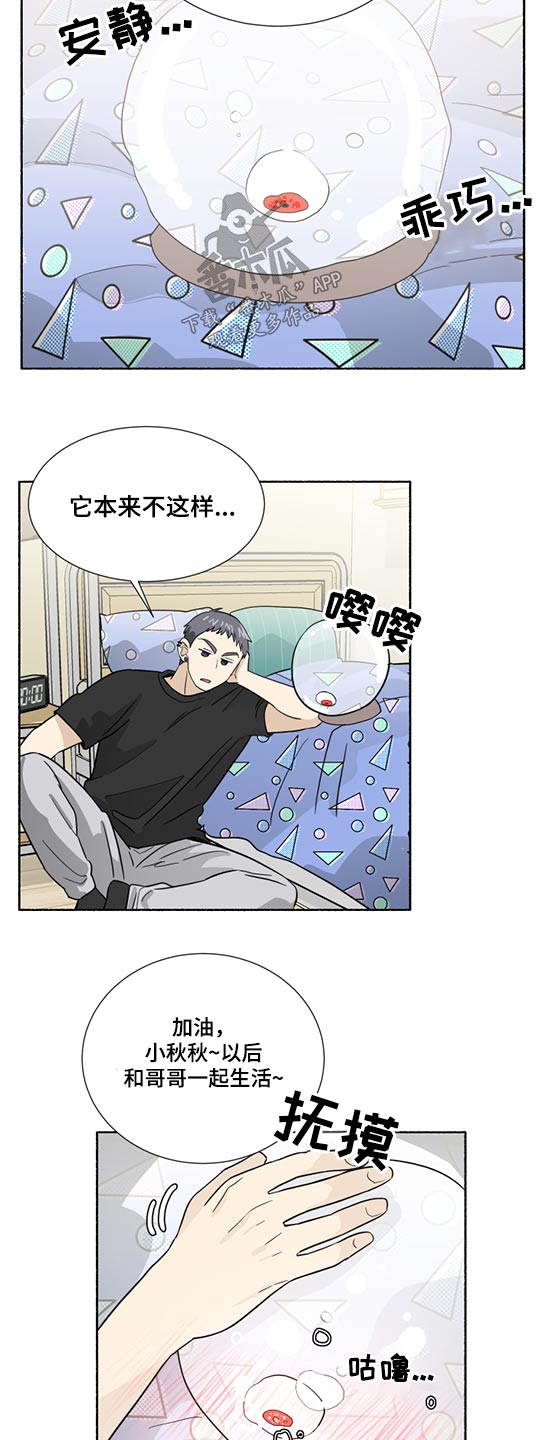 第62章：发光7