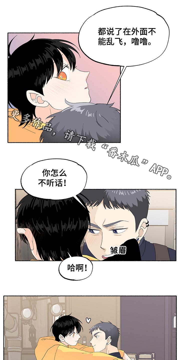 第40章：期待0