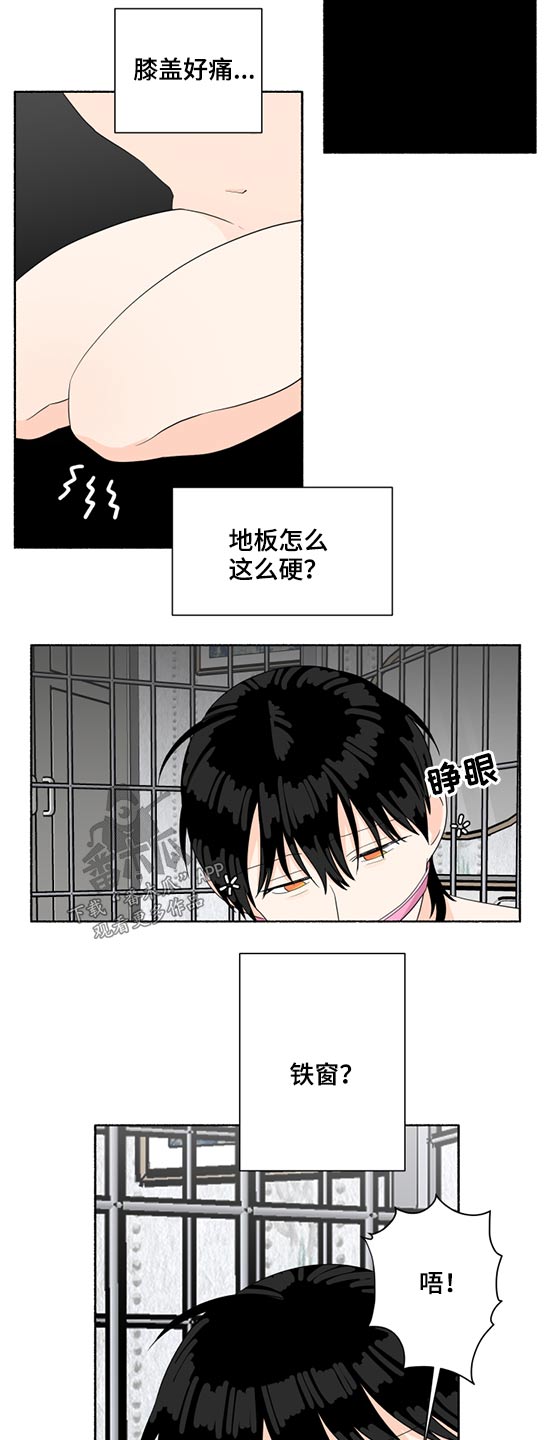 第52章：晕倒7