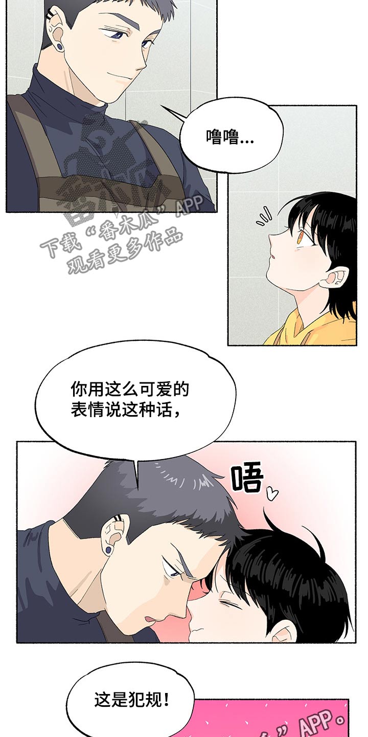 第40章：期待11