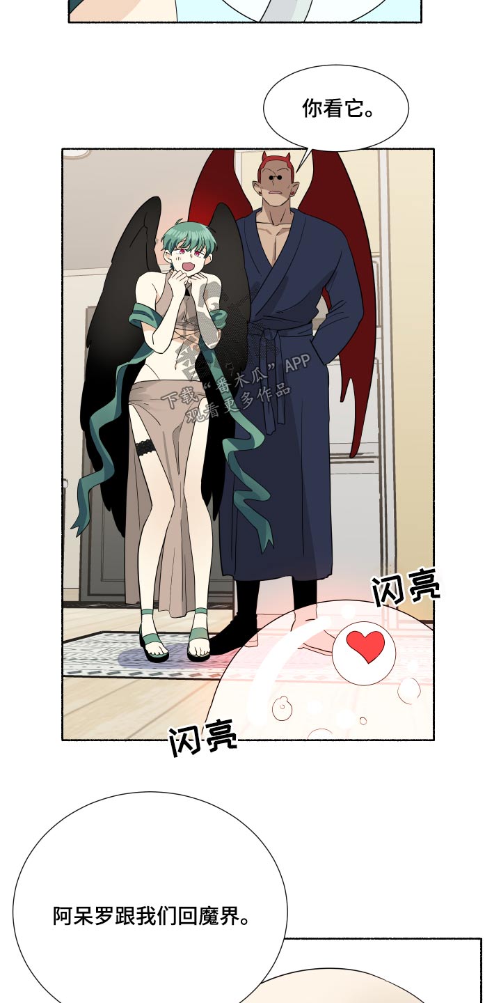 第66章：最好的安排【完结】5