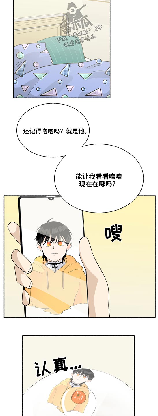 第62章：发光11