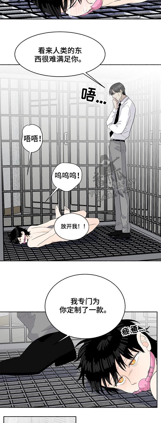 第53章：惩罚6