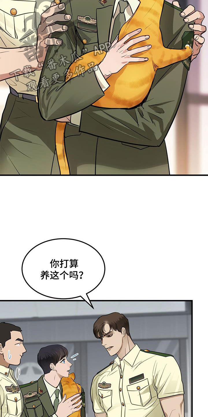 第28章：对猫过敏21