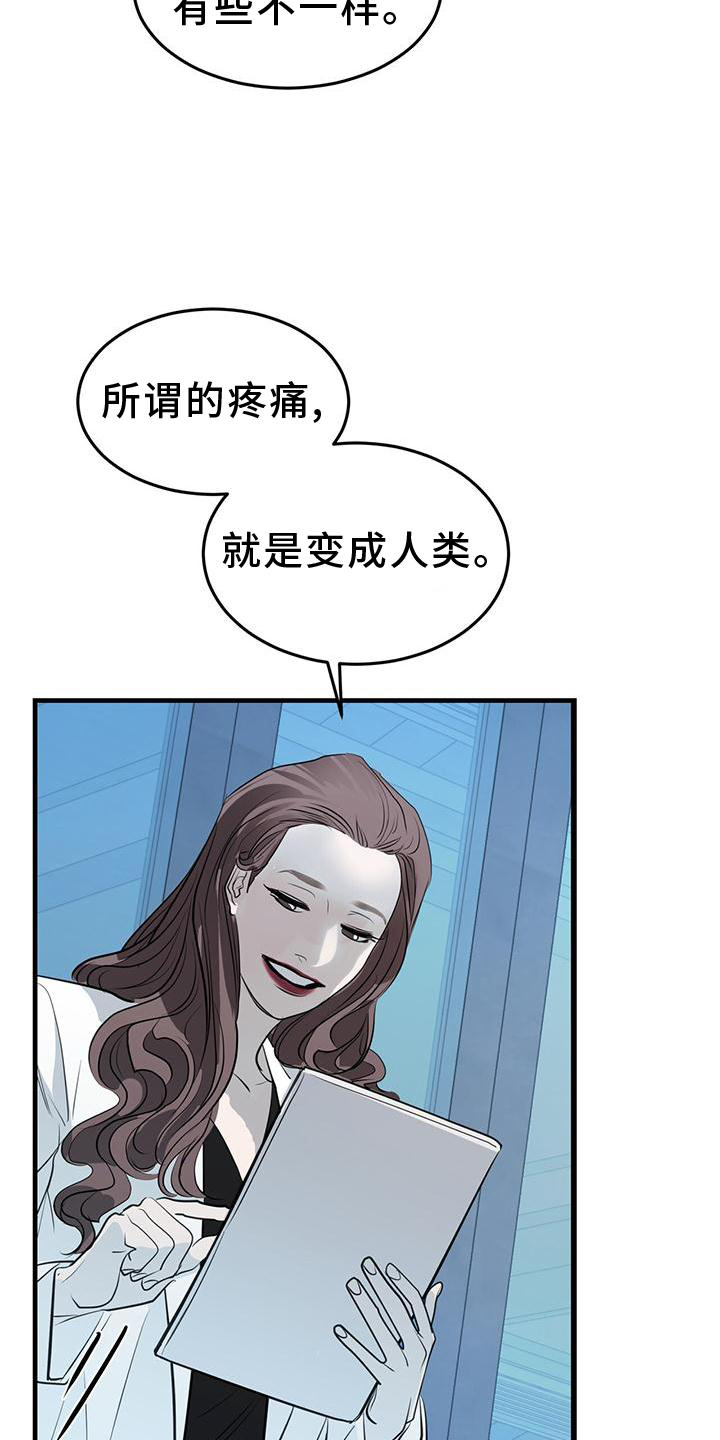 第22章：痛觉21