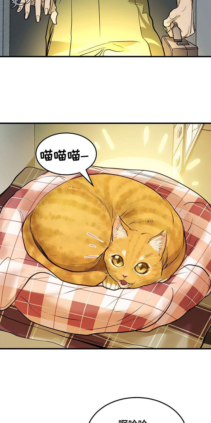 第28章：对猫过敏1