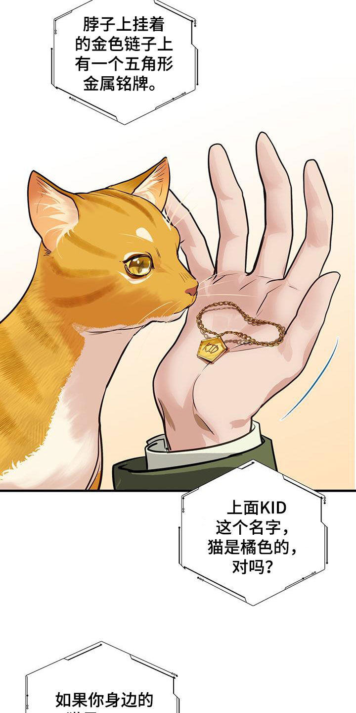 第31章：猫主人23