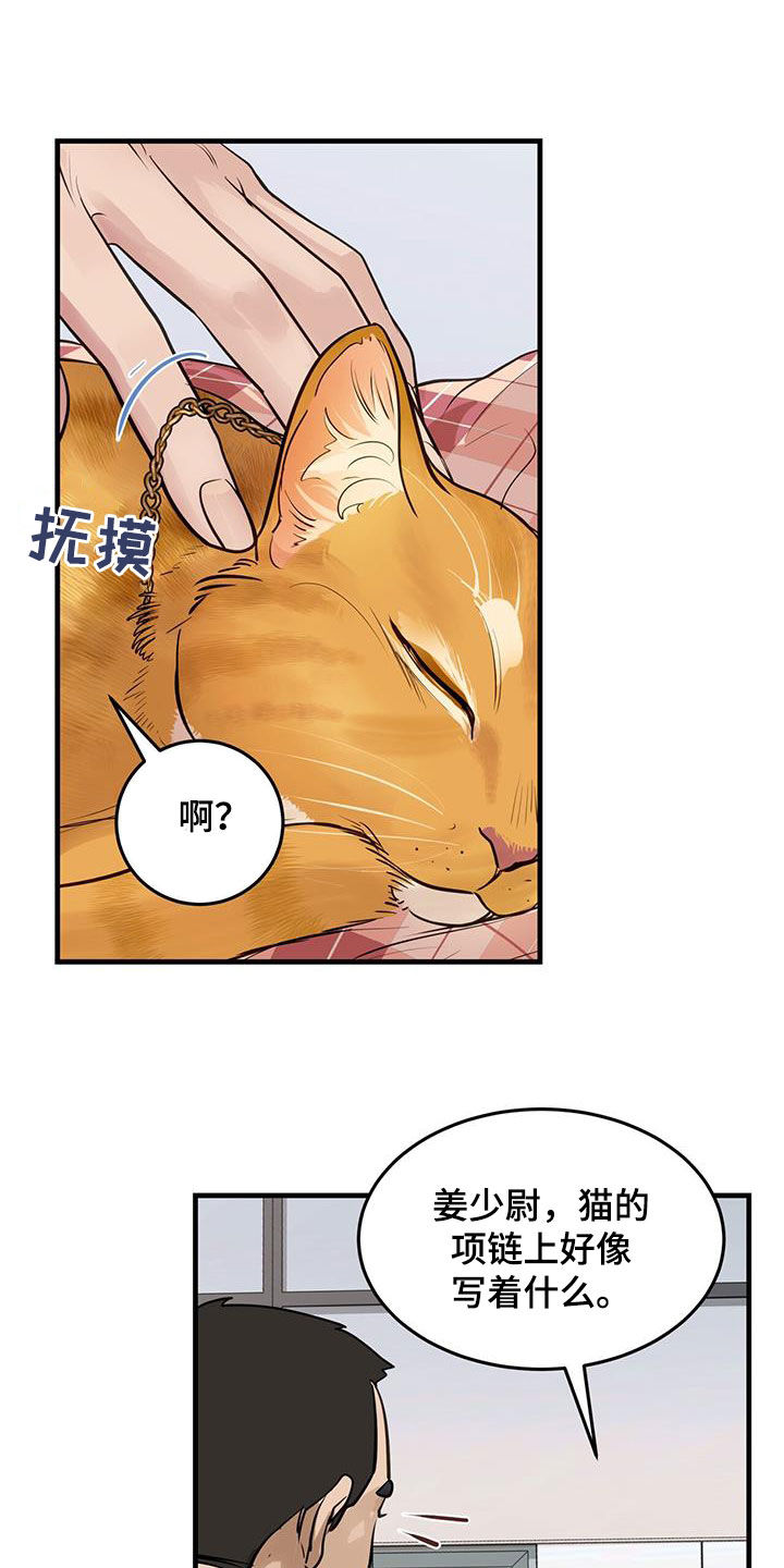第29章：名牌2