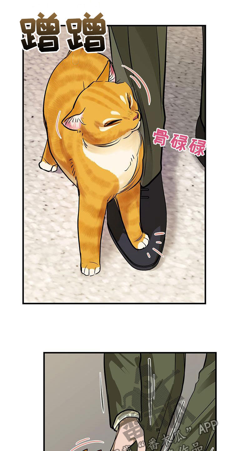 第28章：对猫过敏13