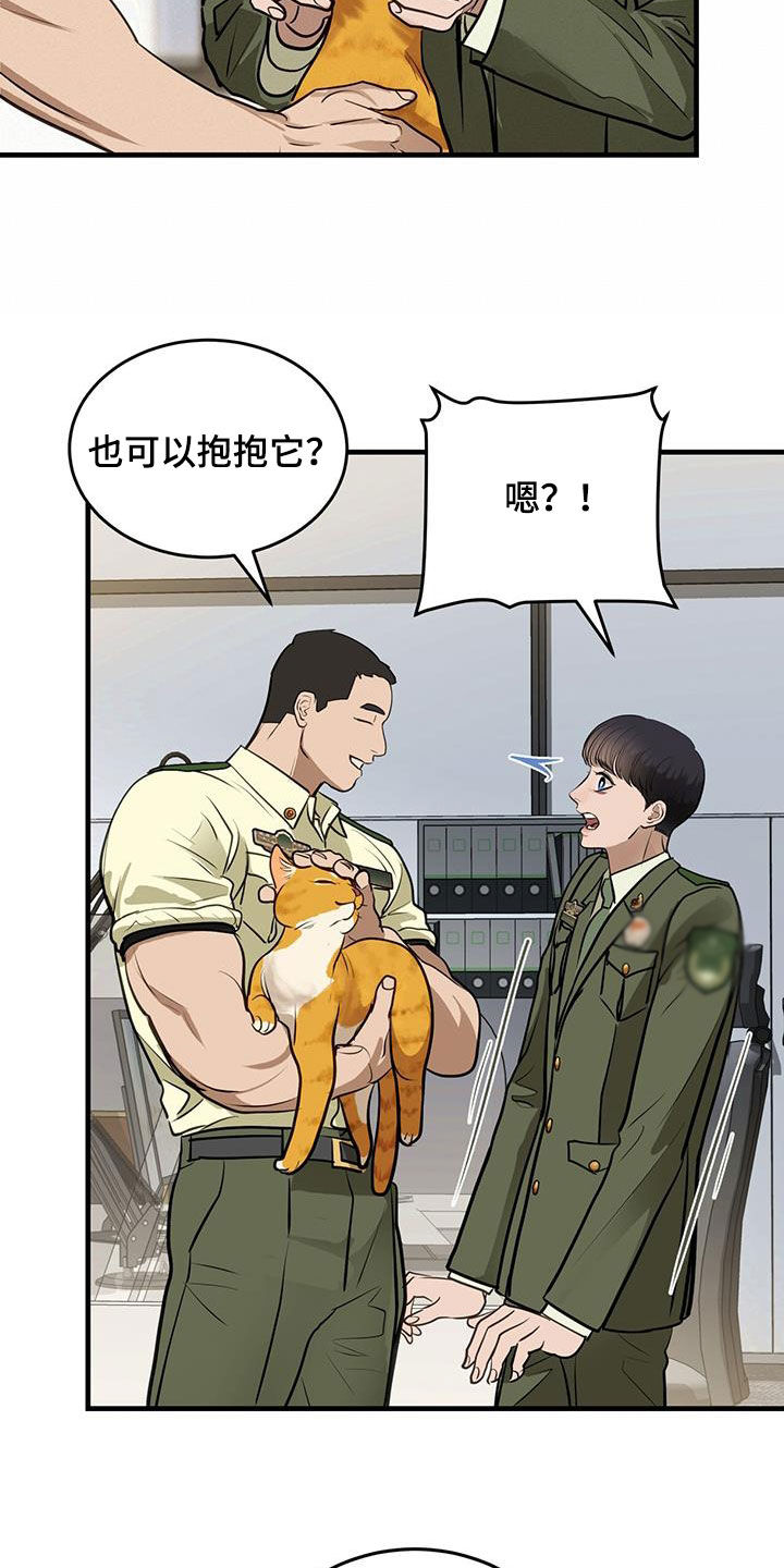 第28章：对猫过敏17