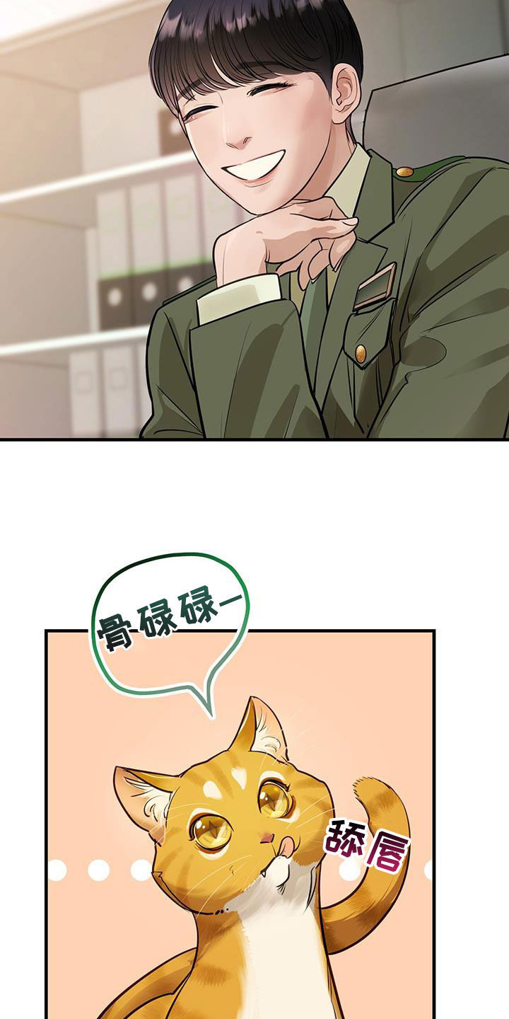 第29章：名牌19