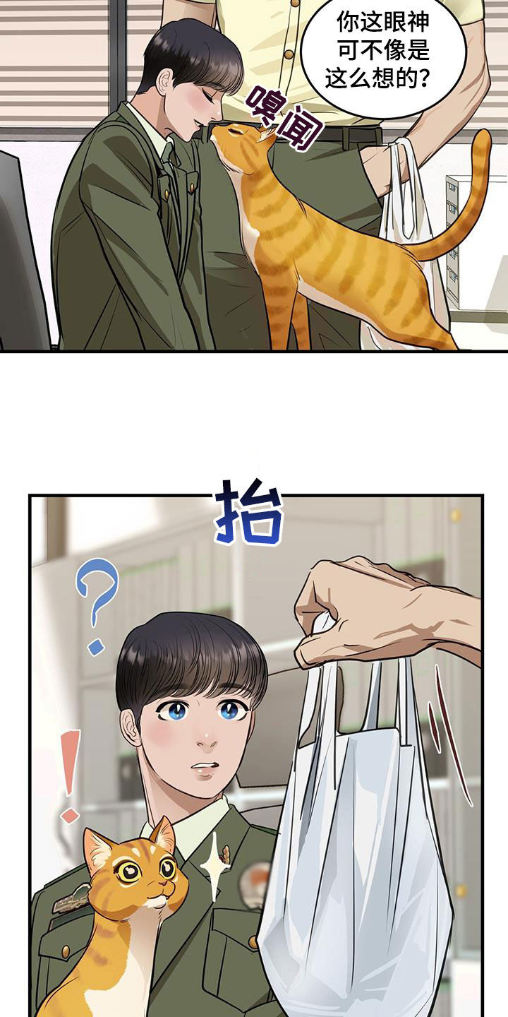第29章：名牌10