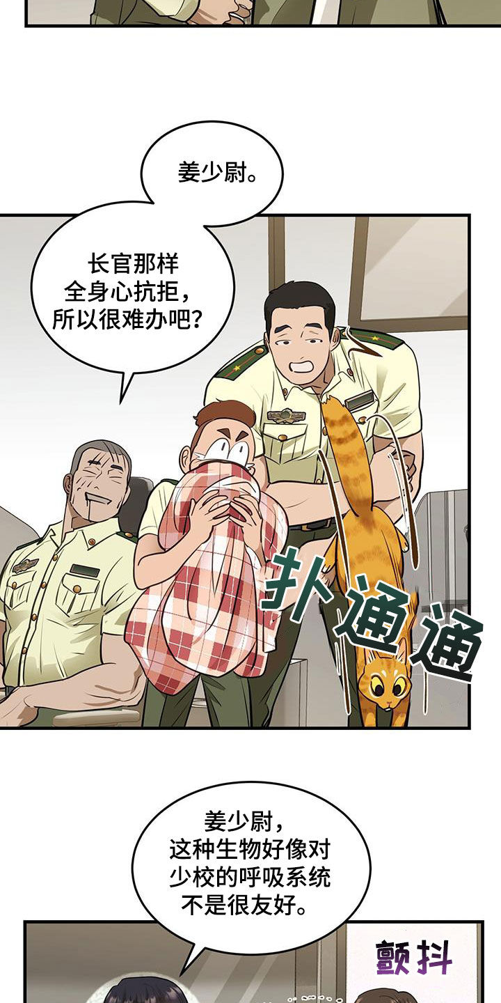 第28章：对猫过敏10